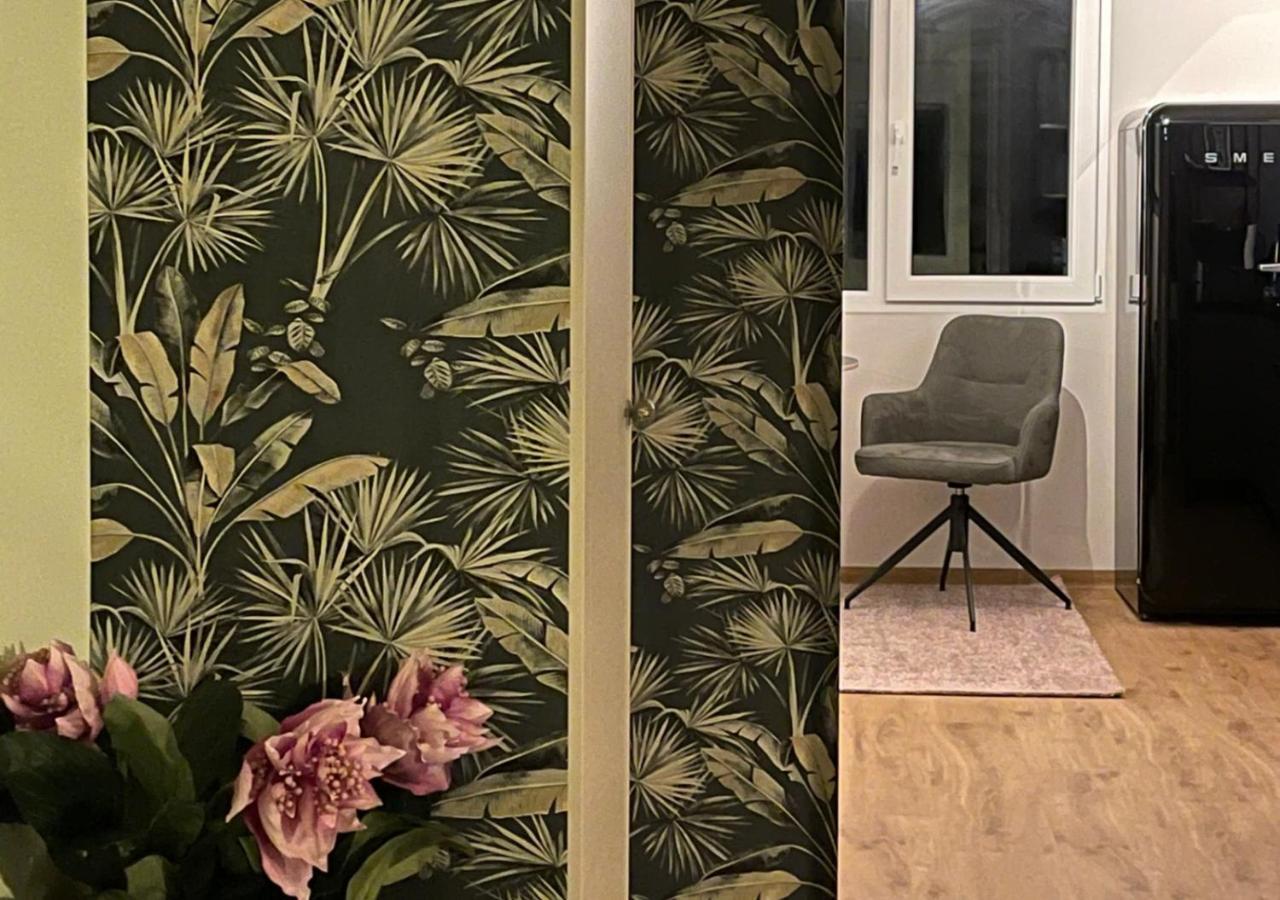 At Smilla - Boutique Mit Kueche - Parken - Klima - Netflix - Waschmaschine Apartment Wiesbaden